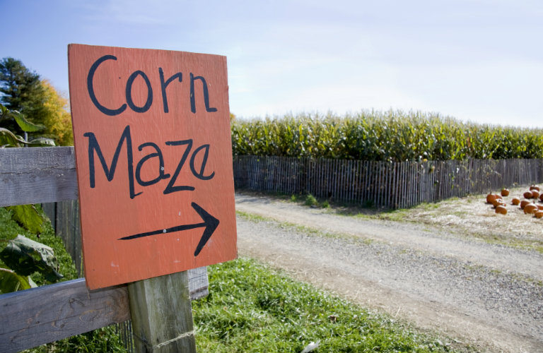 Orange Sign with Arrow that Points to Corn Maze
