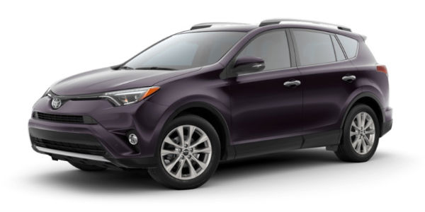 Black Currant Metallic 2018 Toyota RAV4 Exterior