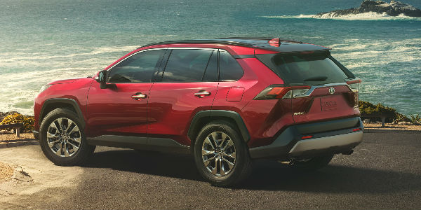 Red 2019 Toyota RAV4 Rear Exterior Parked Next to the Ocean