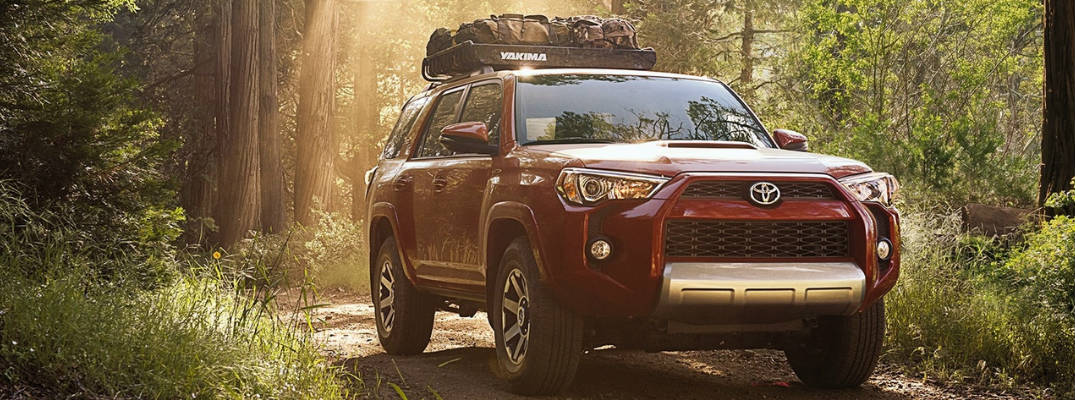 Barcelona Red Metallic 2018 Toyota 4Runner with Luggage Rack on Wooded Trail